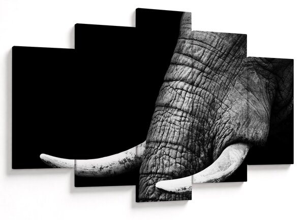 Tablou - Colți de elefant (150x105 cm)
