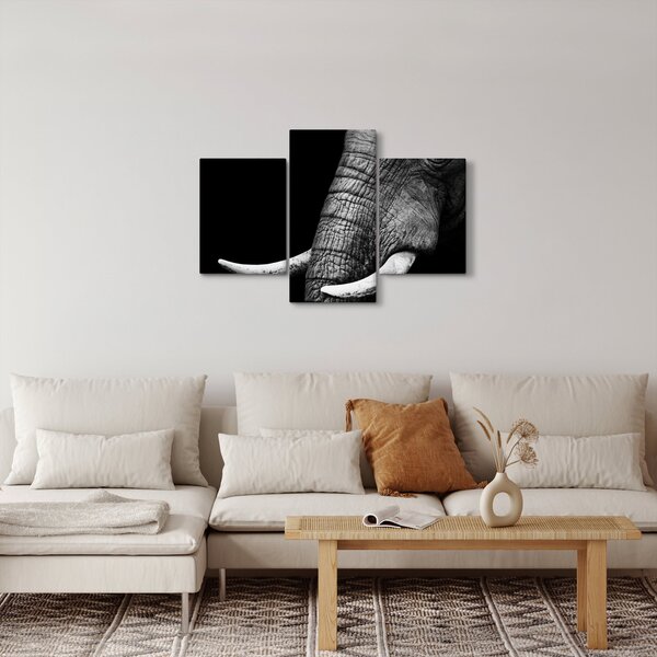 Tablou - Colți de elefant (90x60 cm)