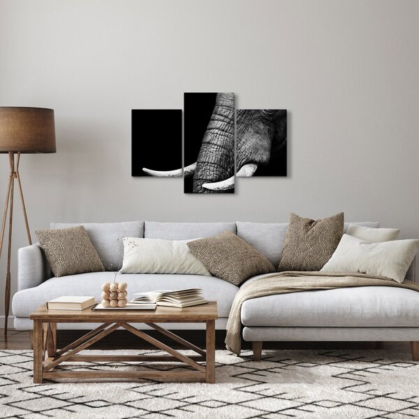 Tablou - Colți de elefant (90x60 cm)