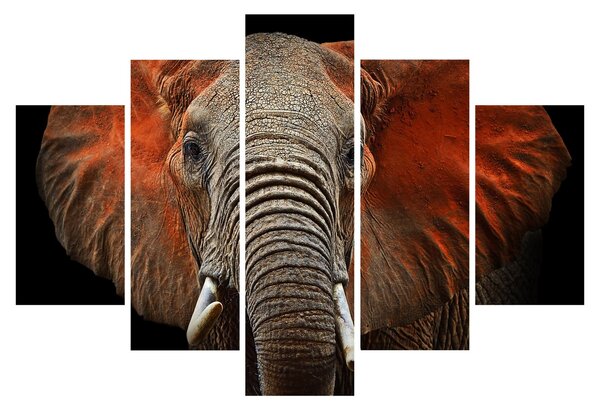 Tablou - Elefanți cu Tsavo (150x105 cm)
