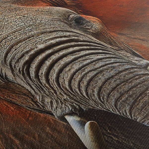 Tablou - Elefanți cu Tsavo (90x60 cm)