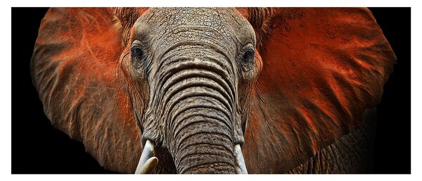 Tablou - Elefanți cu Tsavo (120x50 cm)
