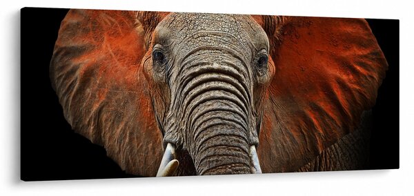 Tablou - Elefanți cu Tsavo (120x50 cm)