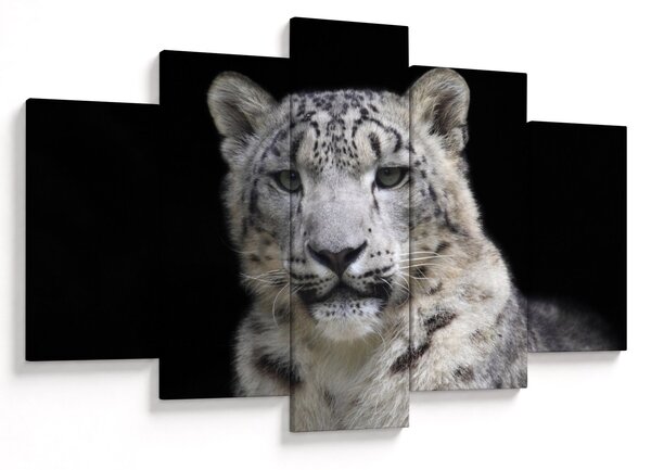 Tablou - Snow Leopard (150x105 cm)