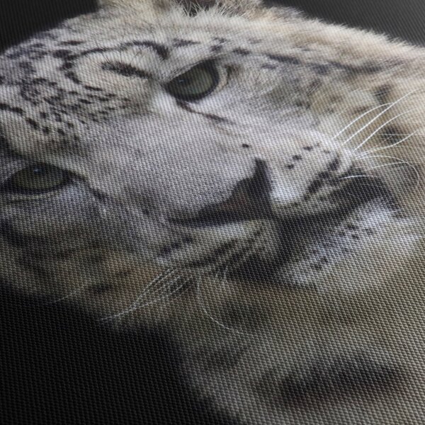 Tablou - Snow Leopard (90x60 cm)