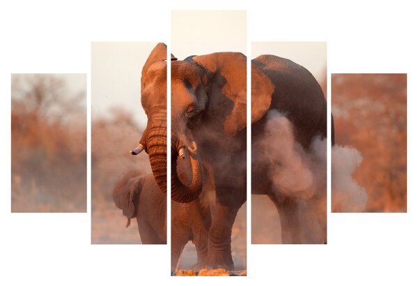Tablou - Marele elefant african (150x105 cm)