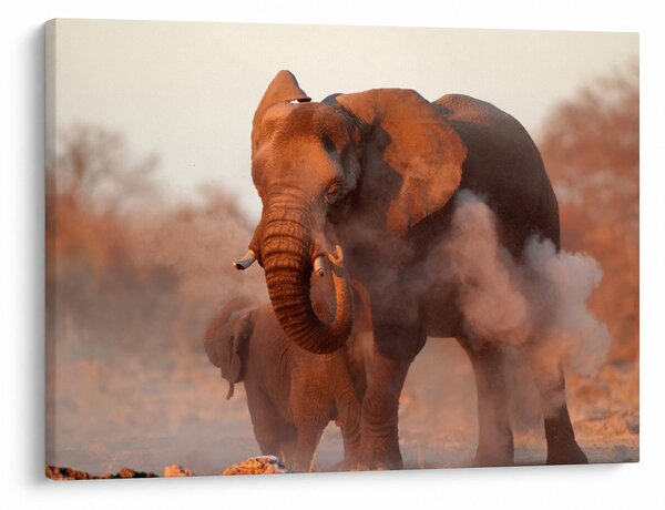Tablou - Marele elefant african (70x50 cm)