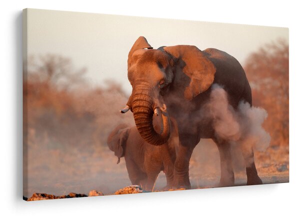 Tablou - Marele elefant african (90x60 cm)