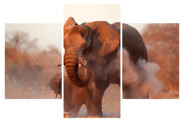 Tablou - Marele elefant african (90x60 cm)