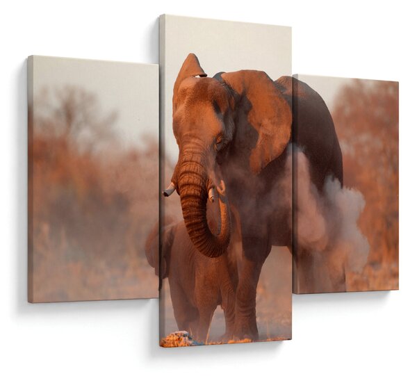 Tablou - Marele elefant african (90x60 cm)
