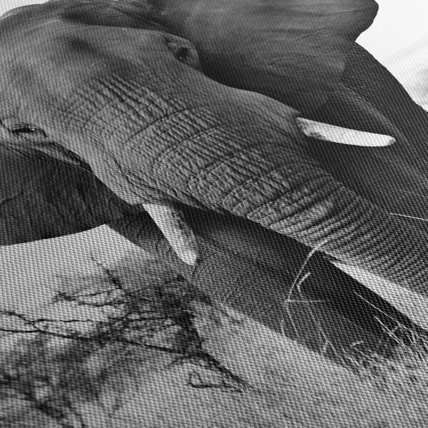 Tablou - Elefantul african II. (150x105 cm)