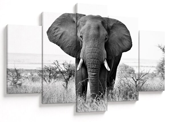 Tablou - Elefantul african II. (150x105 cm)