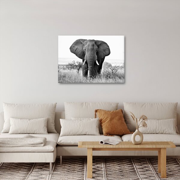 Tablou - Elefantul african II. (70x50 cm)