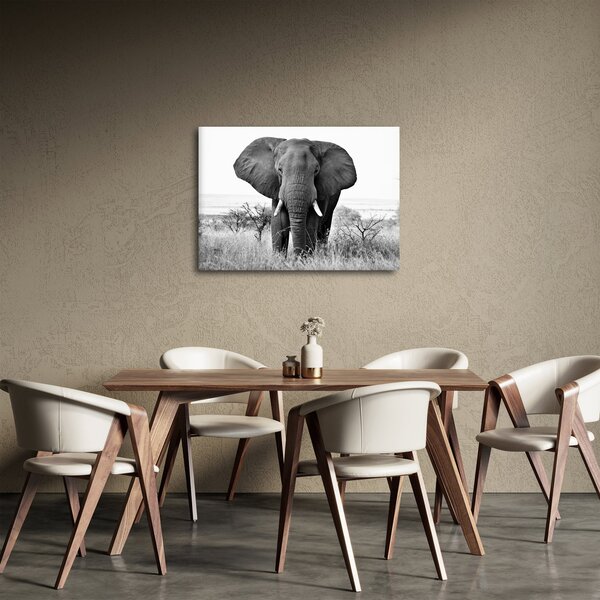 Tablou - Elefantul african II. (70x50 cm)