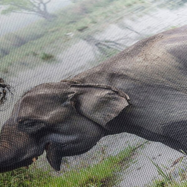 Tablou - Elefant de scăldat (150x105 cm)