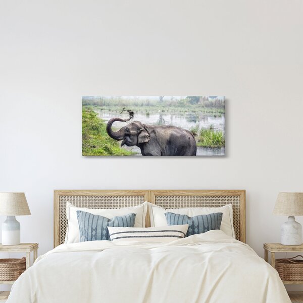 Tablou - Elefant de scăldat (120x50 cm)