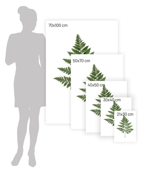 Afiș Fern Green