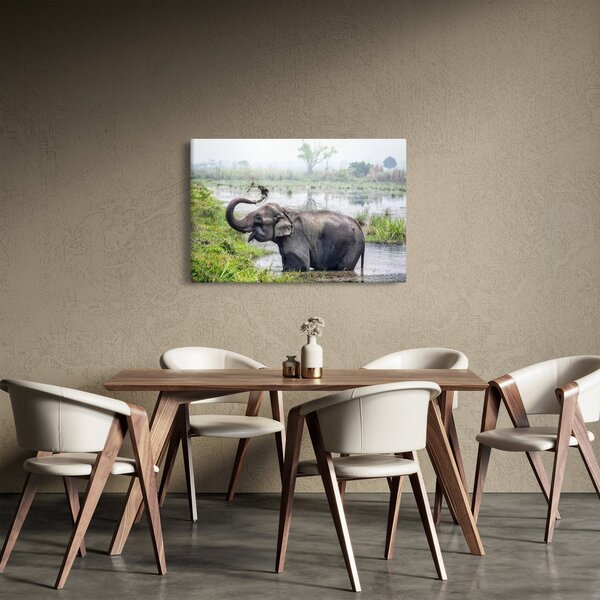 Tablou - Elefant de scăldat (90x60 cm)