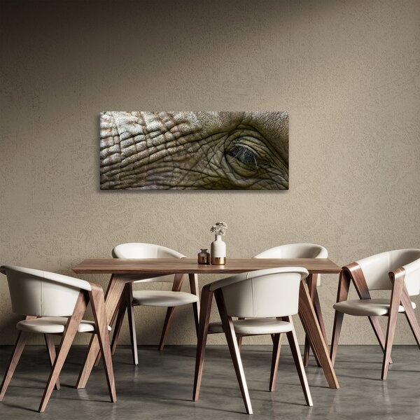 Tablou - Prim-planul ochiului de elefant vechi (120x50 cm)