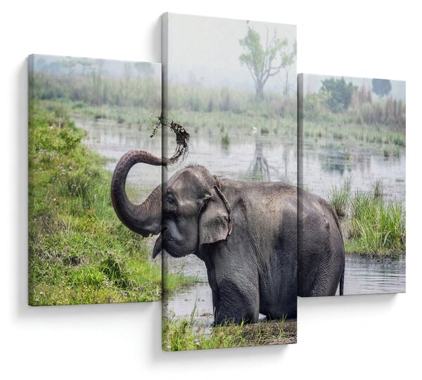 Tablou - Elefant de scăldat (90x60 cm)
