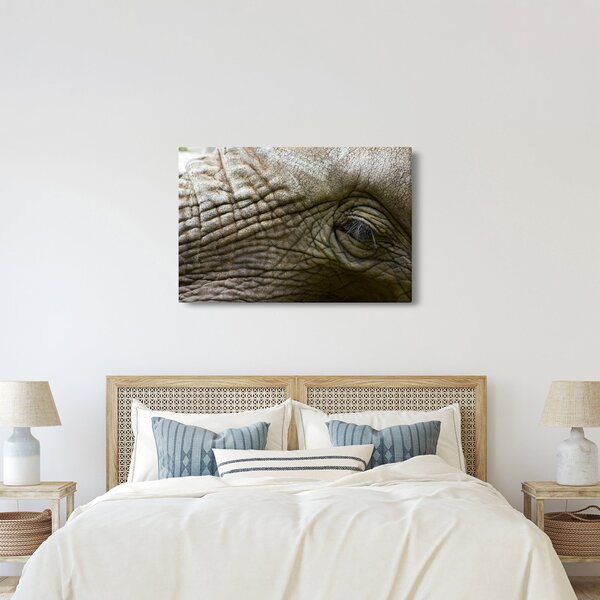 Tablou - Prim-planul ochiului de elefant vechi (90x60 cm)