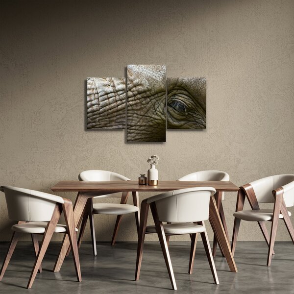 Tablou - Prim-planul ochiului de elefant vechi (90x60 cm)