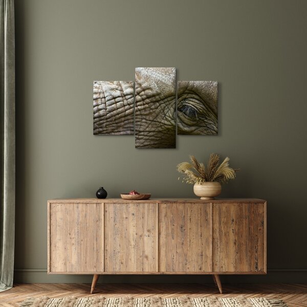 Tablou - Prim-planul ochiului de elefant vechi (90x60 cm)