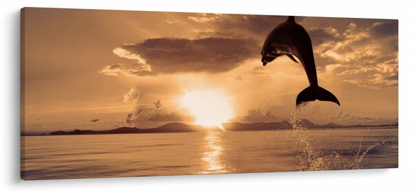 Tablou - Delfin la apus de soare (120x50 cm)