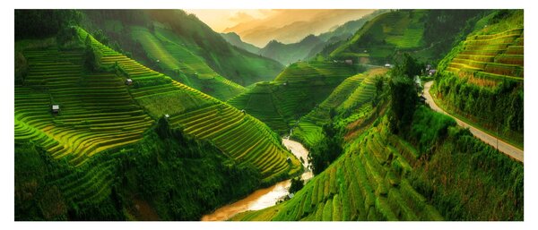 Tablou - Terase de orez Mu Cang Chai (120x50 cm)