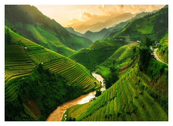 Tablou - Terase de orez Mu Cang Chai (70x50 cm)