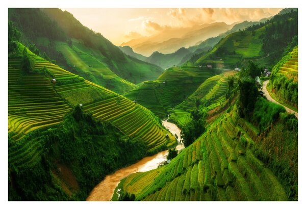 Tablou - Terase de orez Mu Cang Chai (90x60 cm)