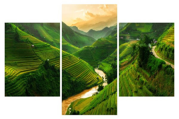 Tablou - Terase de orez Mu Cang Chai (90x60 cm)
