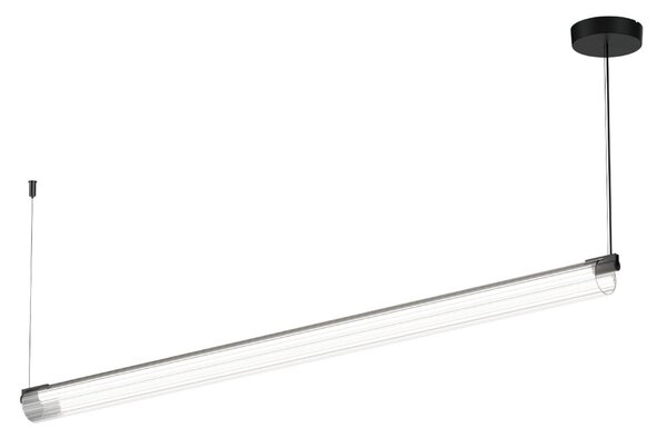 Wever & Ducré Lighting WEVER DUCRÉ Lampă suspendată LED Finelle 1.0 negru 2700K dimabil, reglabil, Negru, Camera de zi / sufragerie, Sticlă, Modern