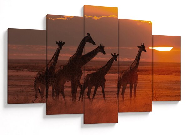 Tablou - Girafe în savana africană (150x105 cm)
