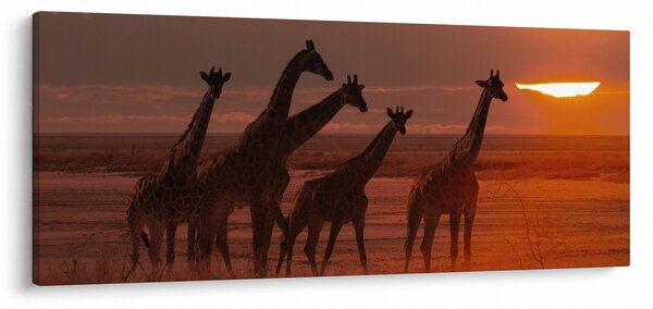 Tablou - Girafe în savana africană (120x50 cm)