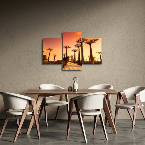 Tablou - Apus de soare pe Aleea Baobabilor (90x60 cm)