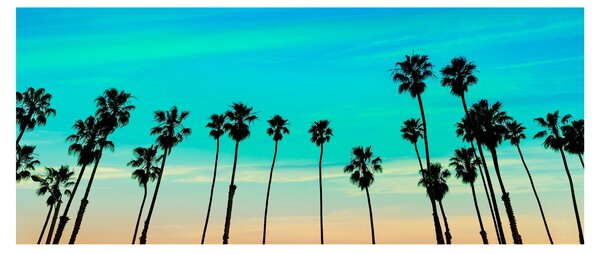 Tablou - California (120x50 cm)