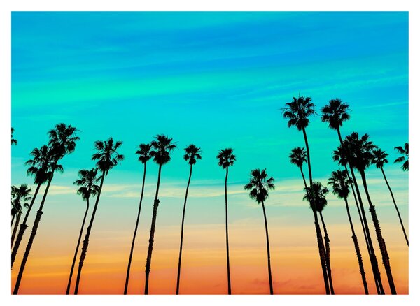 Tablou - California (70x50 cm)