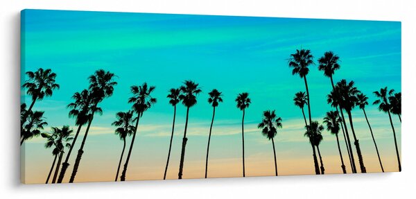 Tablou - California (120x50 cm)