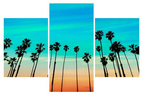 Tablou - California (90x60 cm)