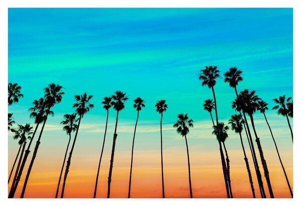 Tablou - California (90x60 cm)