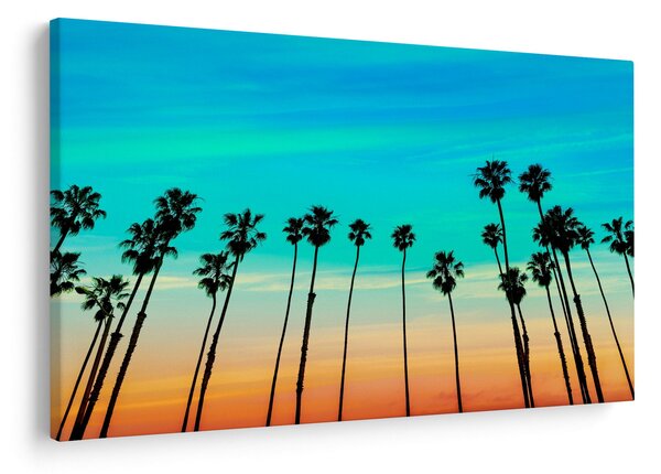Tablou - California (90x60 cm)