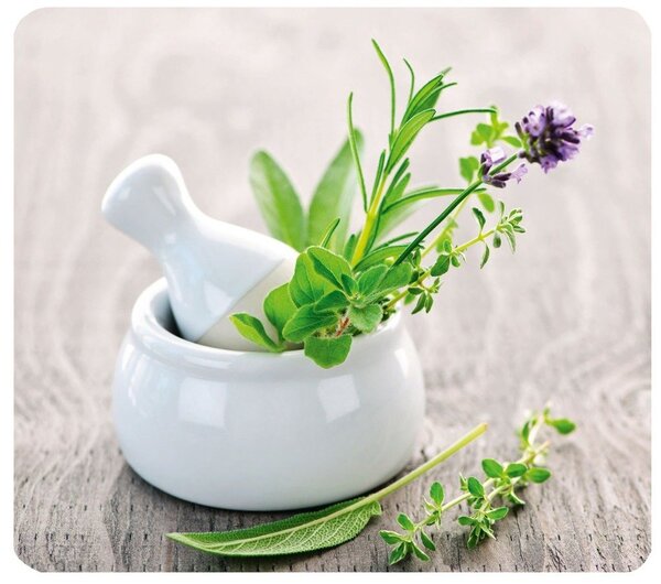 Placă de protecție din sticlă HERB GARDEN pentru aragaz – mare, WENKO