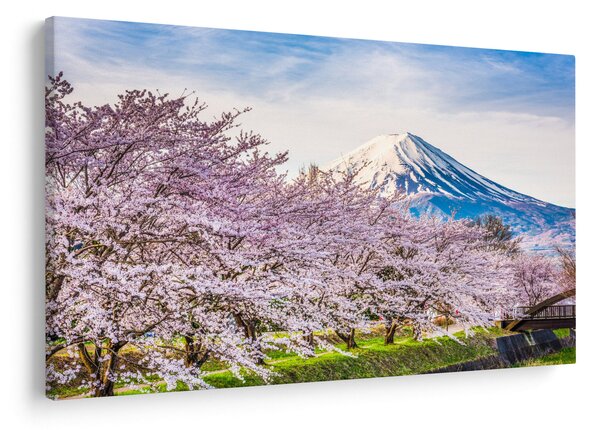 Tablou - Japonia în primăvară (90x60 cm)
