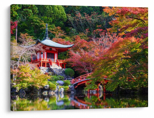 Tablou - Daigodji (70x50 cm)