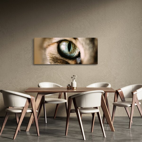 Tablou - Ochi de pisică (120x50 cm)