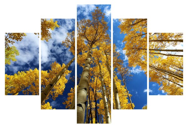 Tablou - Aspen (150x105 cm)
