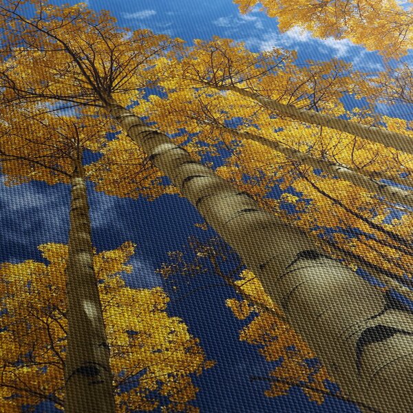 Tablou - Aspen (90x60 cm)