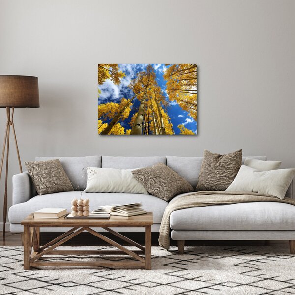 Tablou - Aspen (70x50 cm)