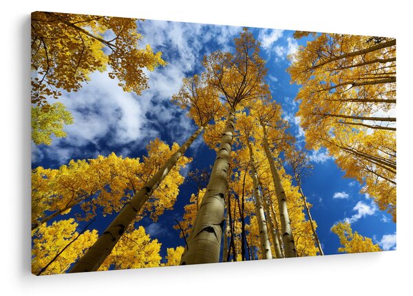 Tablou - Aspen (90x60 cm)